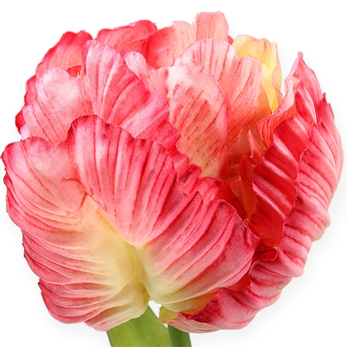 Artikel Papagei-Tulpe Pink 71cm 3St