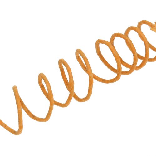 Floristik24 Papierkordel Draht umwickelt Ø0,8mm 22m Orange