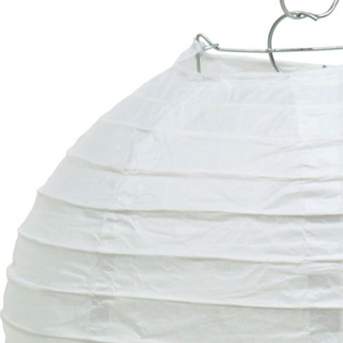 Floristik24 Lampion aus Papier Weiß Ø20cm