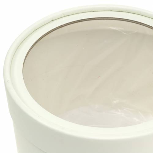 Floristik24 Blumenbox rund Karton Creme Ø12,5/16cm 2er Set