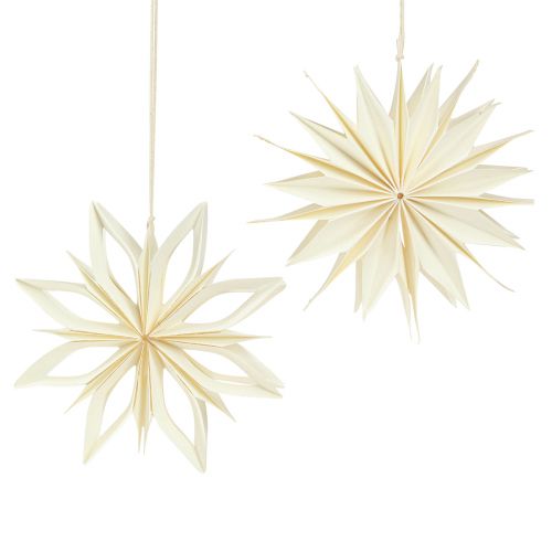 Floristik24 Papiersterne Weihnachtsdeko Baumschmuck Weiß Gold 15cm 6 Stück