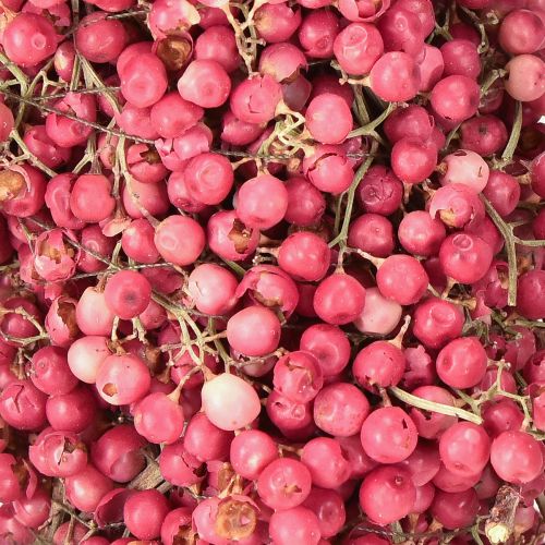 Floristik24 Pfefferkranz Rosa Pfefferbeeren Kranz Trockenkranz Ø30cm