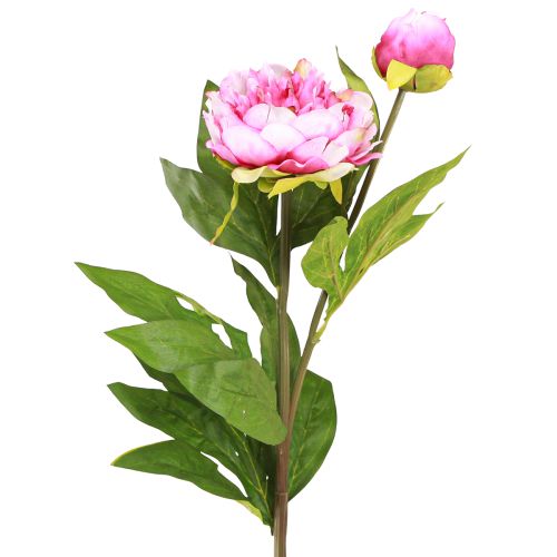 Floristik24 Pfingstrosen Langstielige künstliche Blumen Pink 70cm 3St