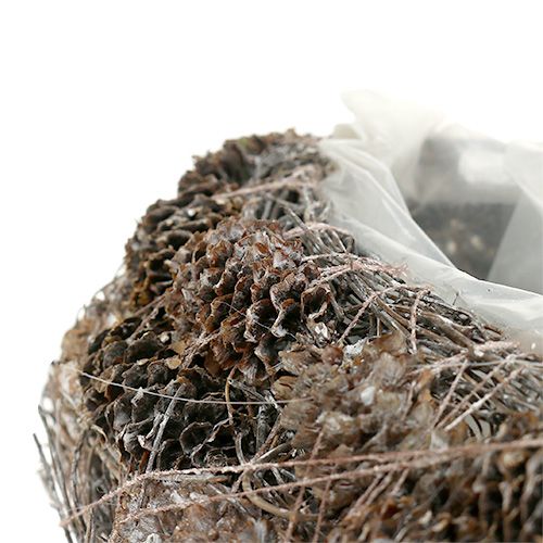 Floristik24 Pflanzenherz aus Zapfen 29cm x 20cm geweißt 2St