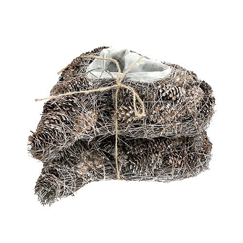 Floristik24 Pflanzenherz aus Zapfen 29cm x 20cm geweißt 2St