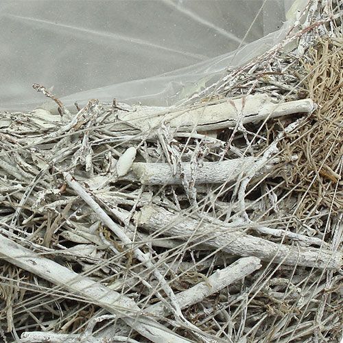 Floristik24 Pflanzschale Grau Ø25cm