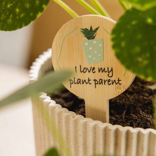 12 Bambus-Pflanzenschilder mit Sprüchen und Pflanzenmotiven, 11 × 6 cm | Floristik24.ch
