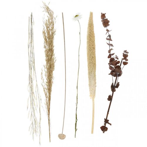 Floristik24 Trockenblumen Strauß mit Eukalyptus Weiß DIY Box H30-35cm