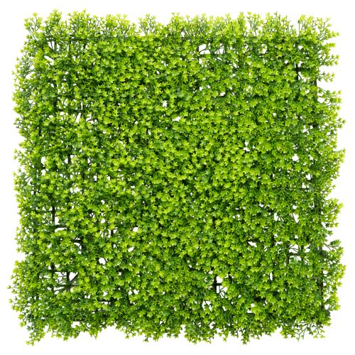 Kunstpflanze Buchsbaum Matte 55x55 cm Grün für Wandgestaltung