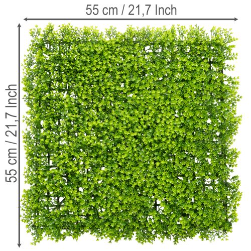 Kunstpflanze Buchsbaum Matte 55x55 cm Grün für Wandgestaltung | Floristik24.ch