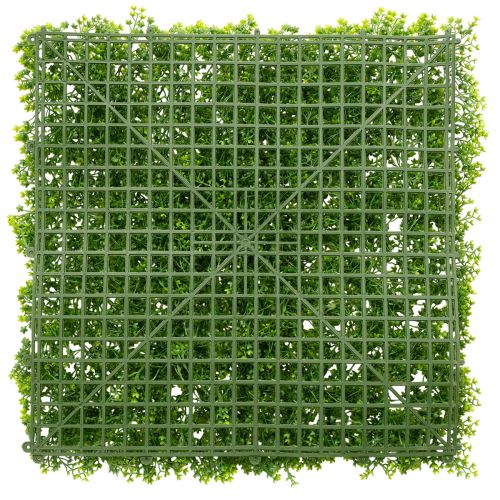Kunstpflanze Buchsbaum Matte 55x55 cm Grün für Wandgestaltung | Floristik24.ch