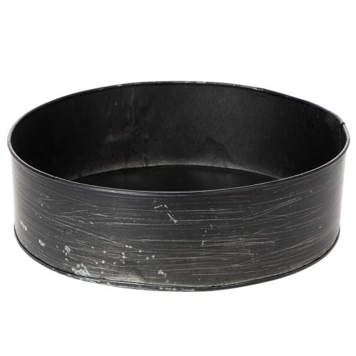 Pflanzschale aus Metall, Deko-Springform Ø24cm H7,5cm, schwarz, für Bepflanzung und Dekoration | Floristik24.ch