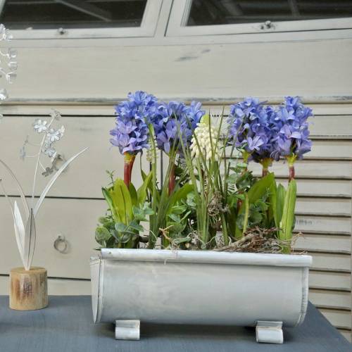 Floristik24 Pflanzgefäß Dachrinne 25cm