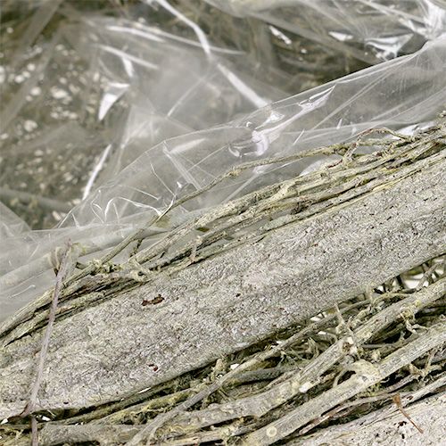 Floristik24 Pflanzherz Grün gewaschen L25cm B20cm