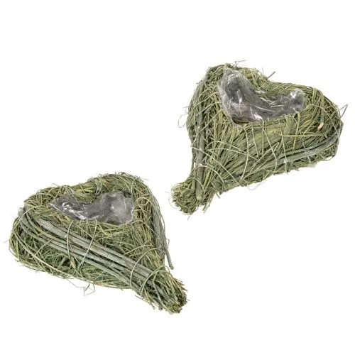 Deko Herz aus Naturgras mit Folieneinsatz 14cm Grün 2er Set online kaufen | Floristik24.ch
