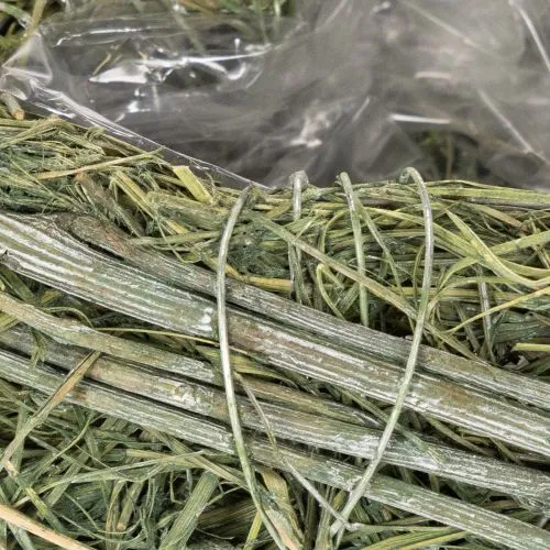 Deko Herz aus Naturgras mit Folieneinsatz 14cm Grün 2er Set | Floristik24.ch