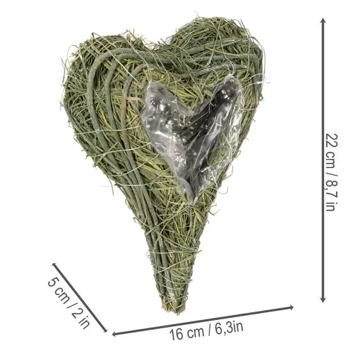 Pflanzherz aus Naturmaterial mit Folieneinsatz 22cm Grün 2er-Set | Floristik24.ch