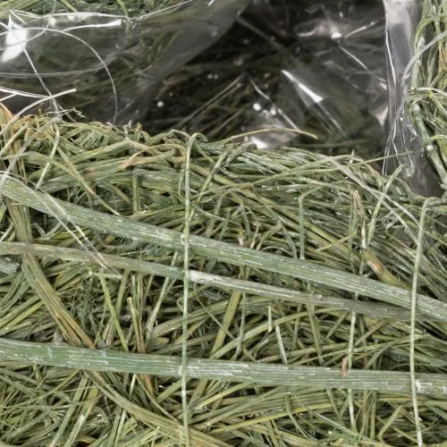 Pflanzherz aus Naturmaterial mit Folie 25 cm | Floristik24.ch