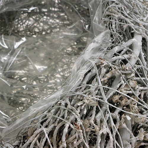 Floristik24 Pflanzherz Rebe Weiß Herz zum Bepflanzen 38×32×7,5cm