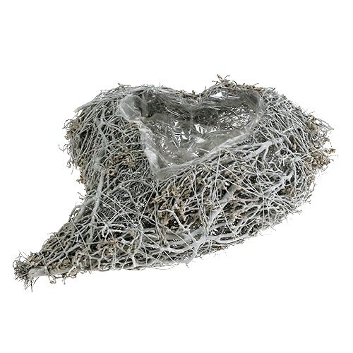 Floristik24 Pflanzherz Rebe Weiß Herz zum Bepflanzen 38×32×7,5cm