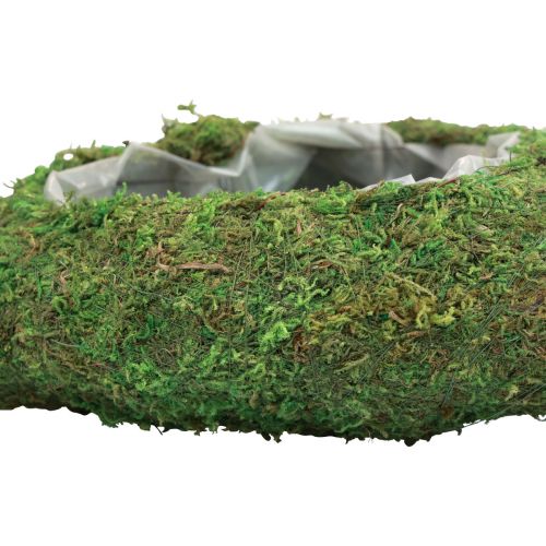 Floristik24 Pflanzherz Moos Grün Pflanzschale Herz 26×30×8cm