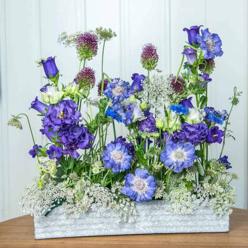 Floristik24 Pflanzkasten Beton Hellgrau 40x8cm H6,7cm