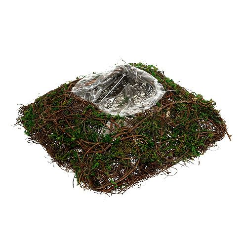 Floristik24 Pflanzkissen Rebe, Moos 22cm x 22cm H7,5cm
