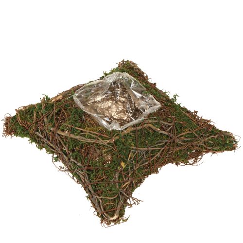 Floristik24 Pflanzkissen Reben Moos Pflanzschale Natur 20×20×6,5cm