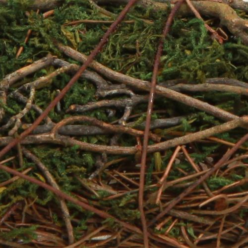 Floristik24 Pflanzkissen Reben Moos Pflanzschale Natur 20×20×6,5cm