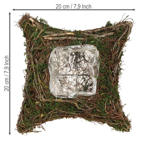 Pflanzkissen Reben Moos Pflanzschale Natur 20×20×6,5cm | Floristik24.ch