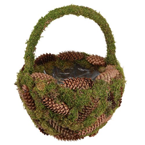 Artikel Rustikaler Pflanzkorb Moos und Fichtenzapfen - Dekokorb mit Henkel Ø32cm H42cm - Vielseitige Garten- und Heimdekoration