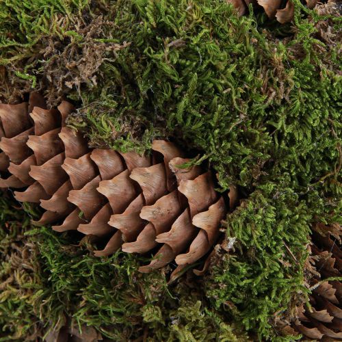 Artikel Rustikaler Pflanzkorb Moos und Fichtenzapfen - Dekokorb mit Henkel Ø32cm H42cm - Vielseitige Garten- und Heimdekoration