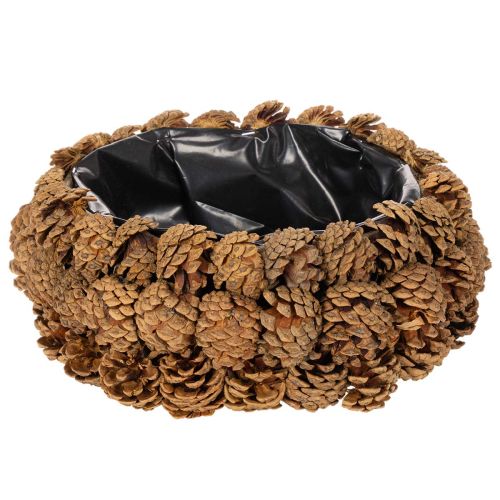 Runde Schale aus Tannenzapfen zum Bepflanzen 30 cm Naturbraun online kaufen | Floristik24.ch
