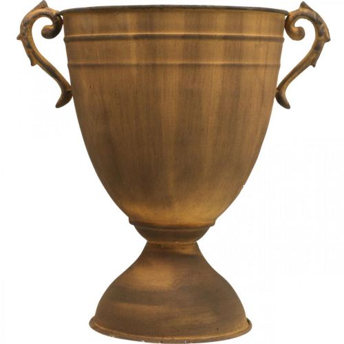 Pflanzkübel Rost Optik Pokalvase Metall Ø22,5cm H32,5cm | Floristik24.ch