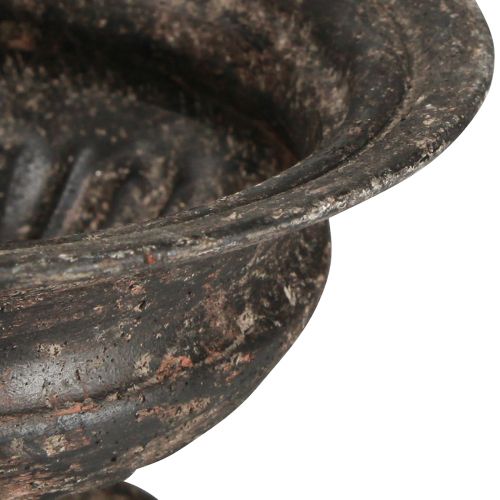 Floristik24 Pflanzpokal Kelch Antik-Look Schwarz Braun Ø20cm H15cm
