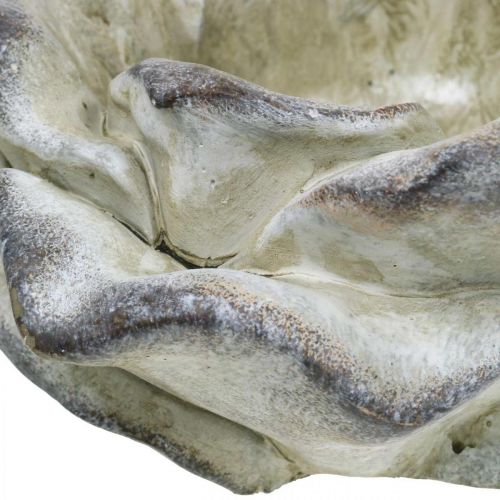 Floristik24 Beton-Rose, Gartendeko, Pflanzrose, Trauerfloristik Grau, Apricot, Violett Ø12cm L26,5cm H11cm