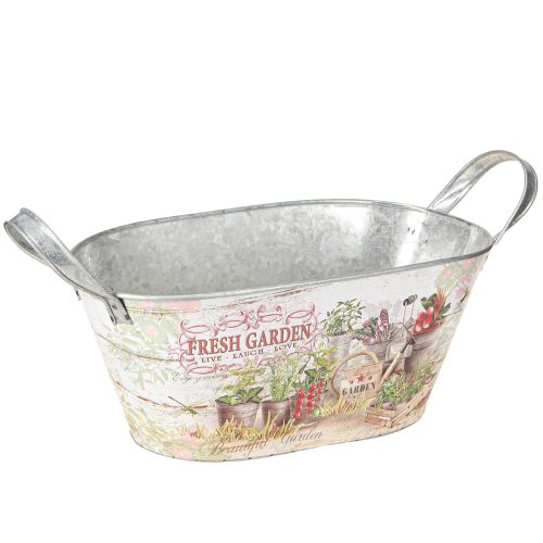 Floristik24 Pflanzschale Metall Oval Fresh Garden 34,5x14x15,5cm