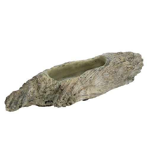 Pflanzschale für Sukkulenten 24,5cm x 8,5cm H5,5cm