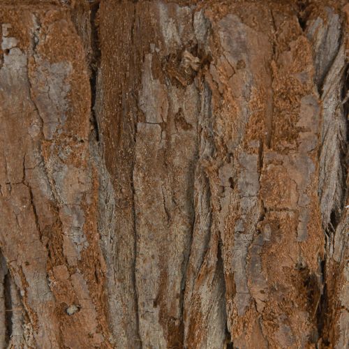 Artikel Pflanzschale oval Rinde Natur 30,5×15cm / 24×11cm 2er-Set