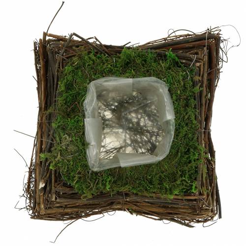 Floristik24 Pflanzkissen Rattan, Moos 20cm x 20cm H8cm