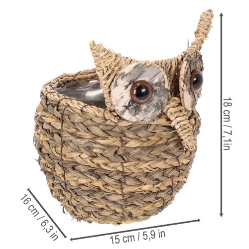 Korb Deko Eule handgeflochten aus Wasserhyazinthe 18cm naturfarben | Floristik24.ch
