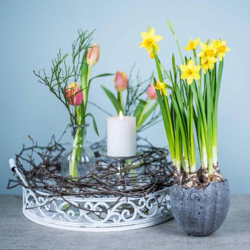 Floristik24 Pflanztopf Eischale Ø12cm H11,5cm 6St