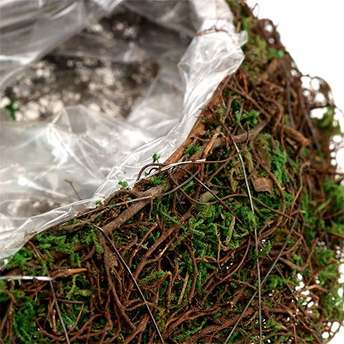 Floristik24 Pflanzwelle Rebe, Moos 45cm x 18cm H7cm