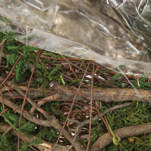 Floristik24 Pflanzwelle Reben Kleine Pflanzschale mit Moos 31×15×7cm