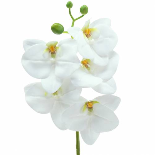 Künstlicher Orchideenzweig Phaelaenopsis Weiß H49cm