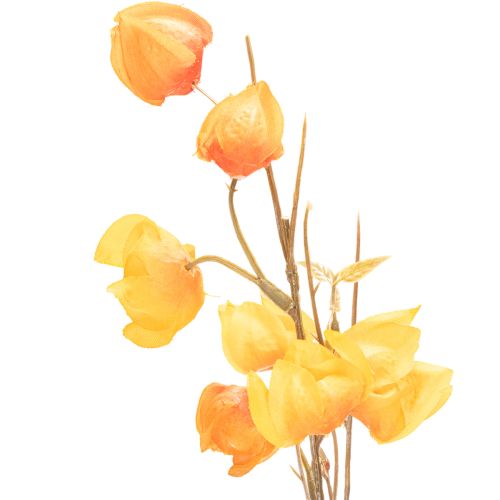 Lampionblume künstlich Physalis-Zweig 95 cm Orange für Innen | Floristik24.ch