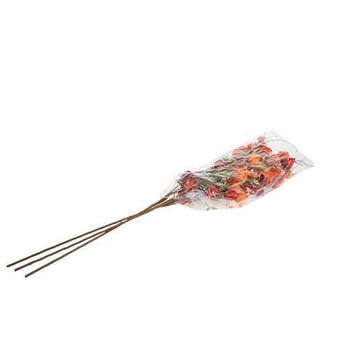 Floristik24 Physaliszweig 90cm Orange 3St