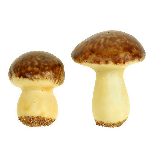 Floristik24 Pilz-Mix Braun 24St