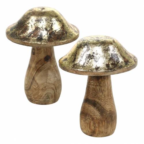 Floristik24 Holzpilz Golden, Natur Mangoholz Ø6,8cm H9,8cm 2St