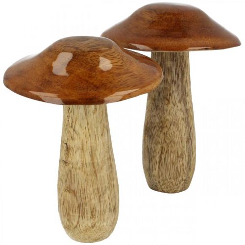 Pilz Mangoholz Braun, Natur Tischdeko Herbst Ø9cm H12cm 2St